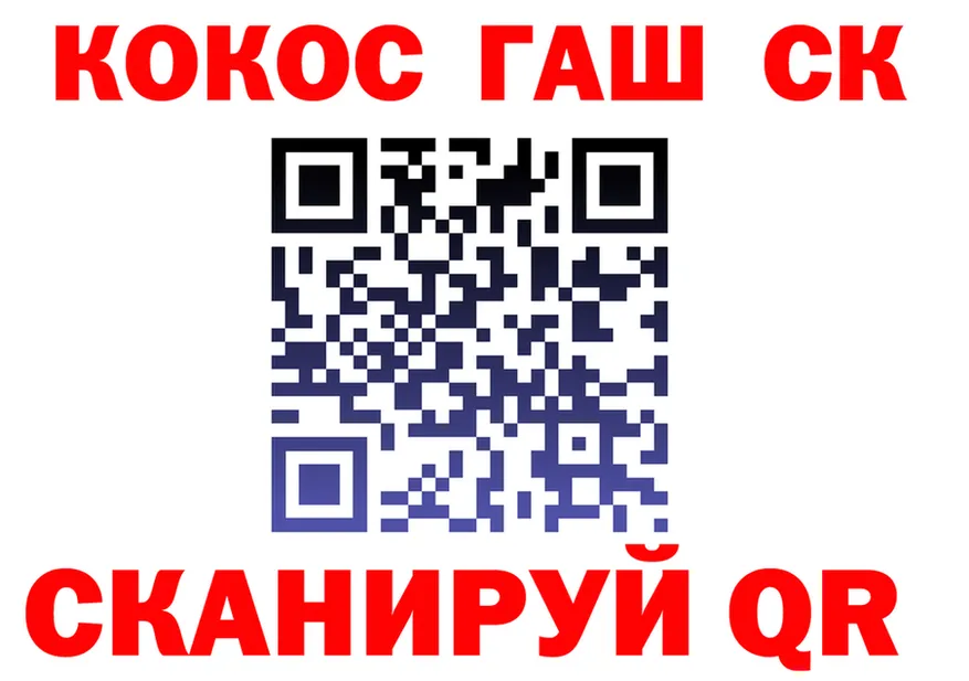МЯУ-МЯУ мука зеркало площадка мега Ахтырский